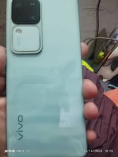 vivo