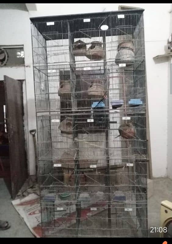 2 parrot cage 2