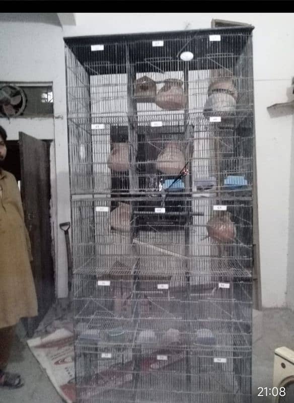 2 parrot cage 3