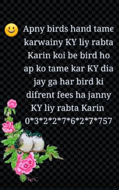 apny birds hand tame karwain Sirf Koch dinon main