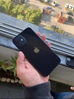 Apple Iphone 12 256Gb