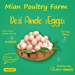 Desi Eggs