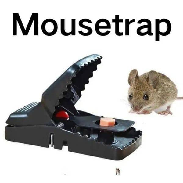 Effective mouse trap 1