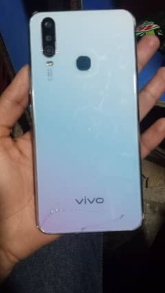 vivo