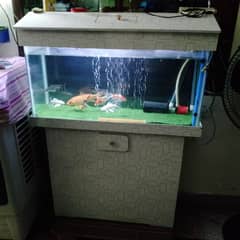 Fish And Tank For Sale