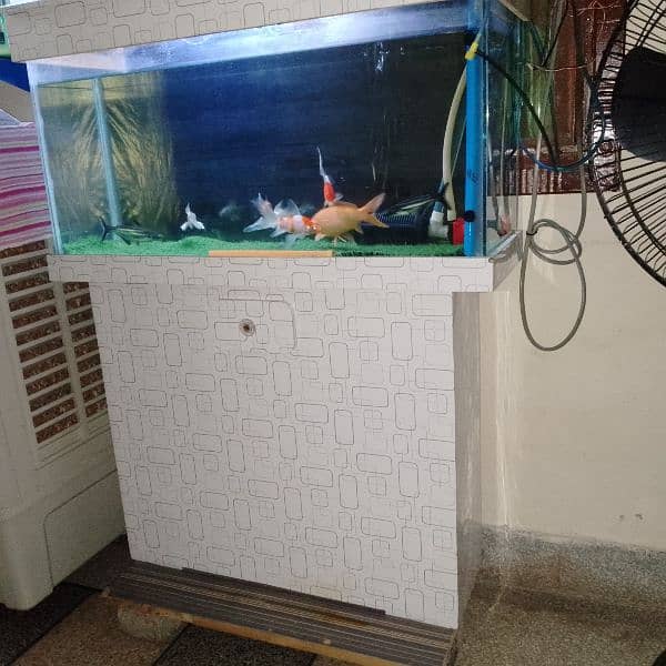 Fish And Tank For Sale 6