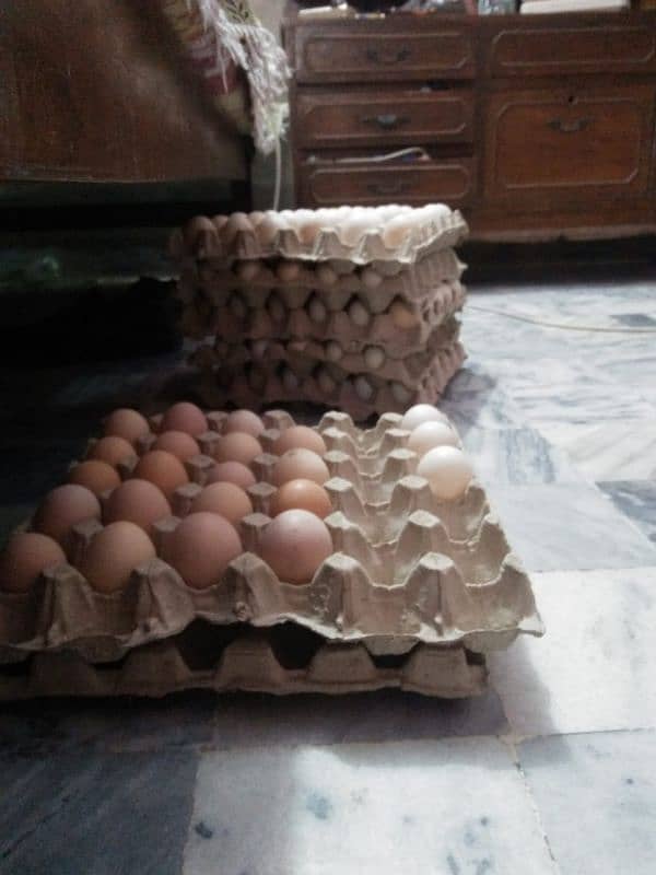 Pure Desi Organic Eggs 0