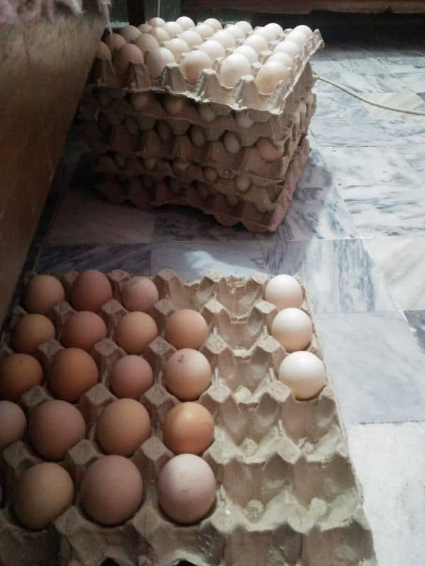 Pure Desi Organic Eggs 1