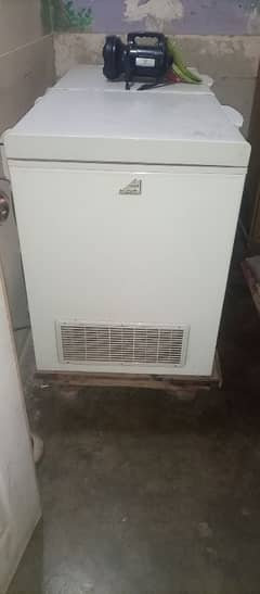 D freezer for sale