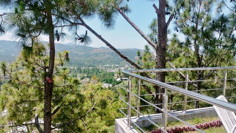 Height View House For Sale 42