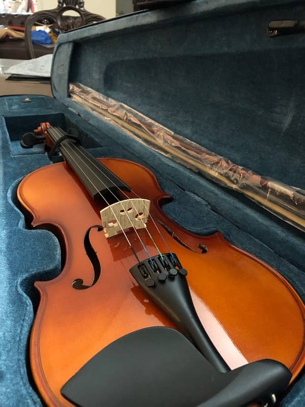 violin 2