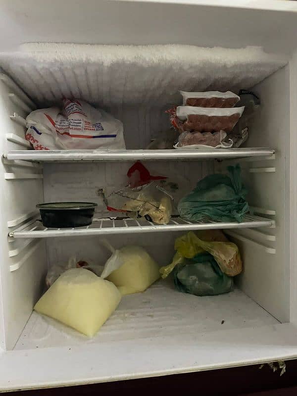 Fridge Orient 3