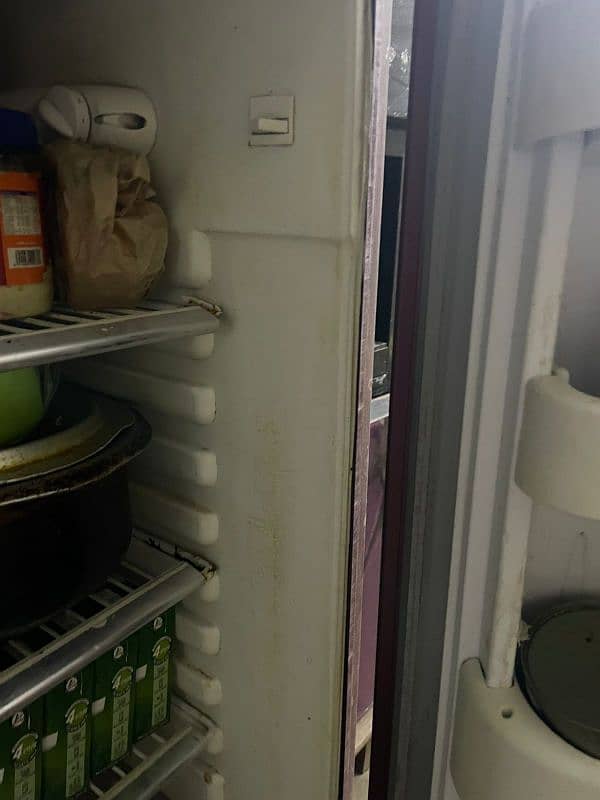 Fridge Orient 6