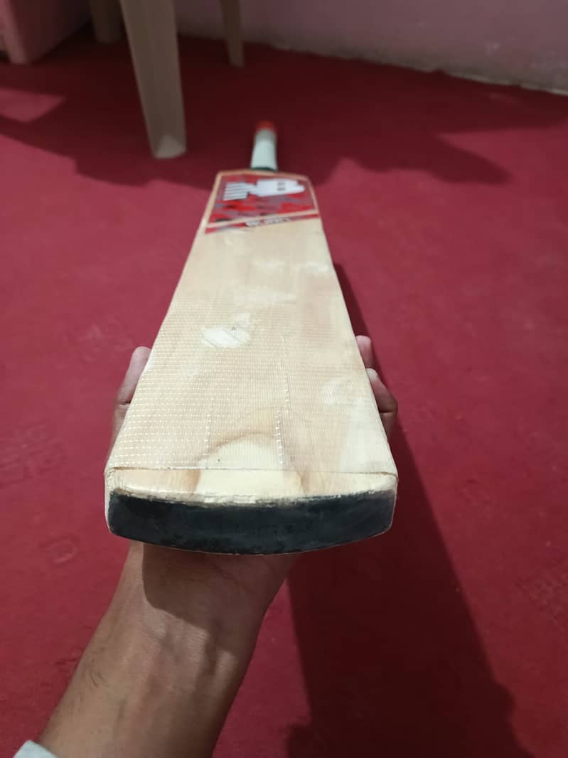 Hard Ball Cricket Bat - Excellent Quality and Power 3