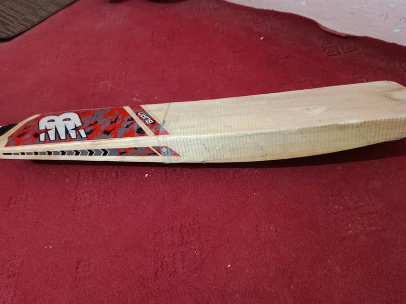 Hard Ball Cricket Bat - Excellent Quality and Power 4