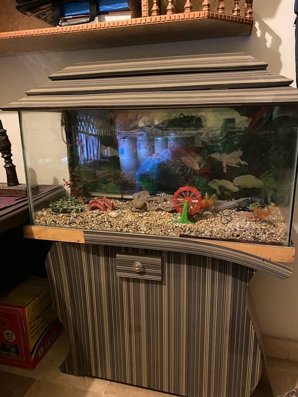 fish aquarium fish tank unique high quality . 2