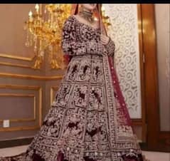 Bridal Lehenga Maxi Rent Maxi, Maxi on rent