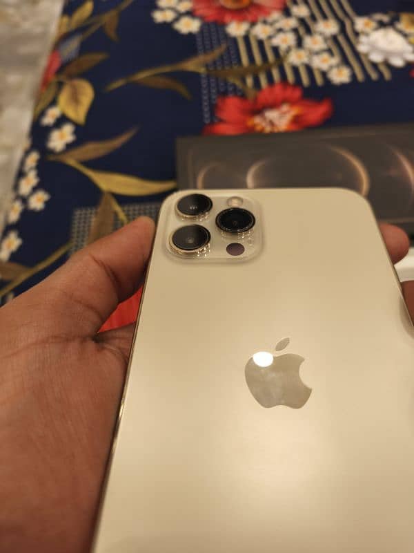 Iphone 12 Pro Max Gold 5