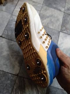 Adidas cricket spike shoes