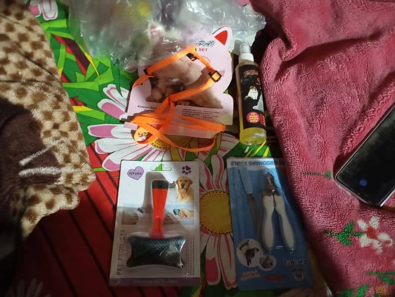 cat tool set 2