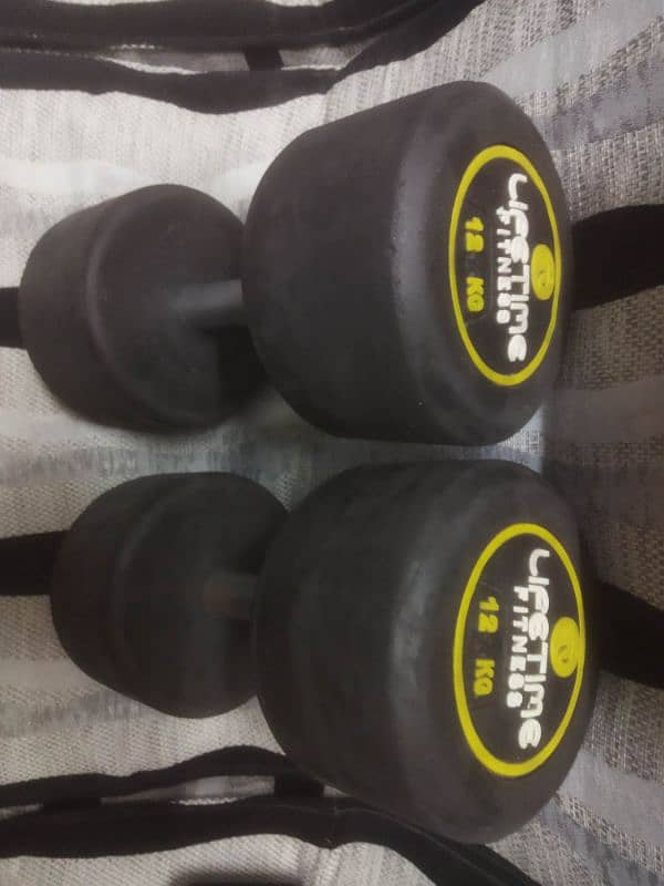 top quality dumbbells avail 340pkr/kg with other equipment 1