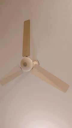 one ceiling fan fir sale