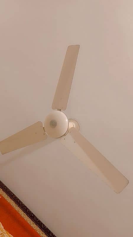 one ceiling fan fir sale 1