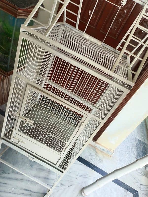 African gray maccao and kakatoo patriot cage for sale 1