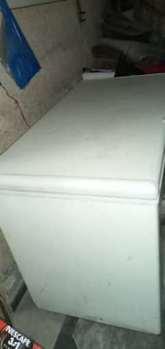 freezer for sale 10 by 80