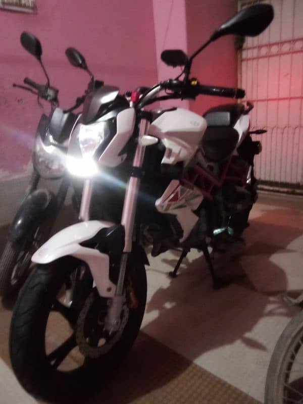 benelli full original 10by 10 1