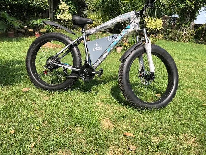 Electric tric bicycle/ebike /Mz Electric vehicle's 6