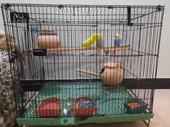 only cage for sale, 4500Rs