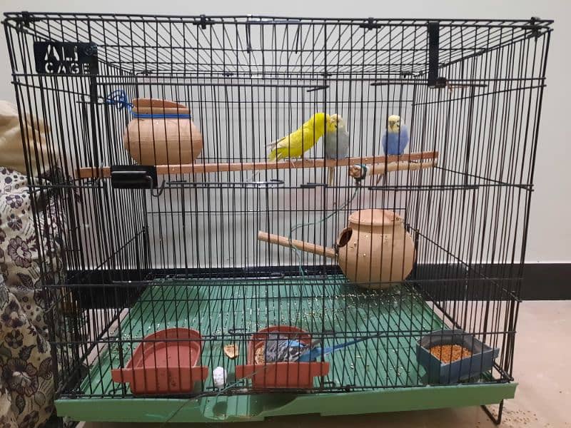 only cage for sale, 4500Rs 0