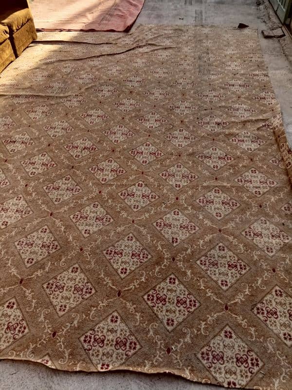 Carpet for sale 0