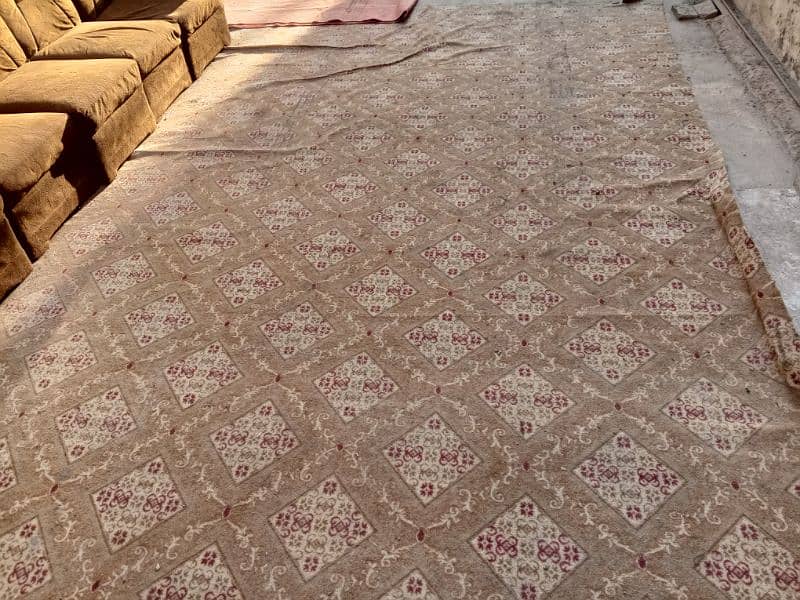 Carpet for sale 2