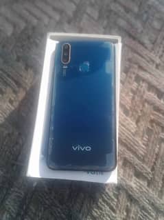 vivo