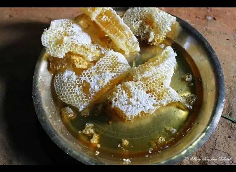 Honey 100%  Pure Natural collected from Talagang  wild forest Area 2