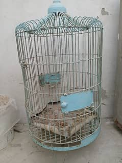 perrot cage