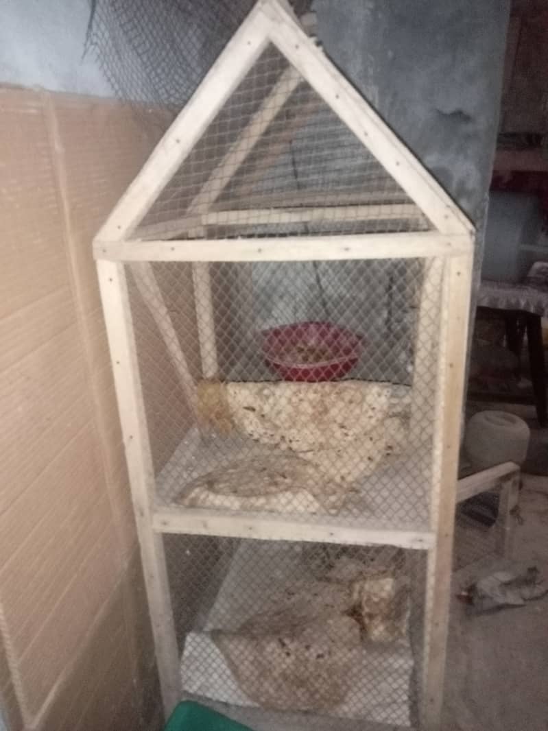 Birds wooden cage double portion for sale 0