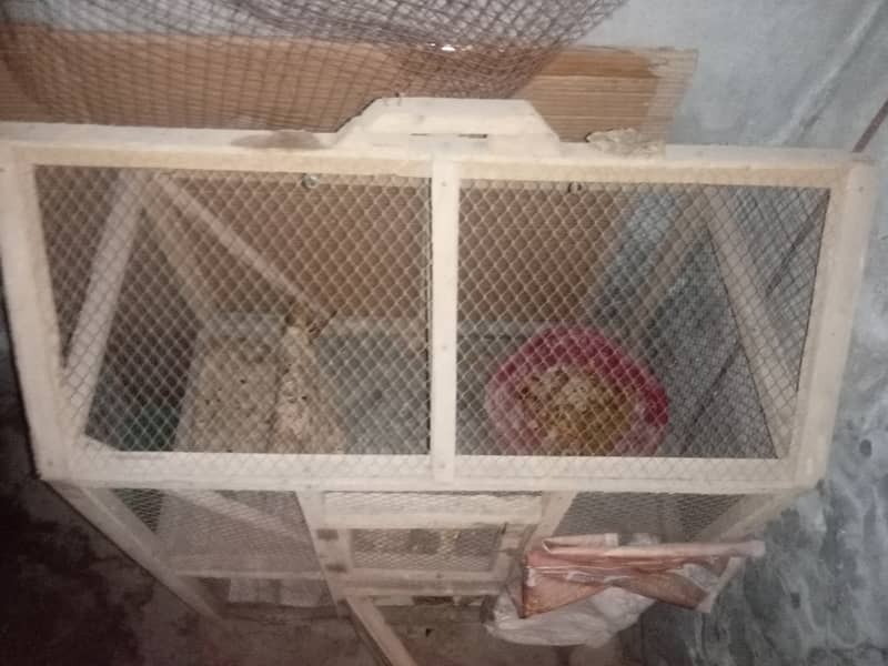 Birds wooden cage double portion for sale 2