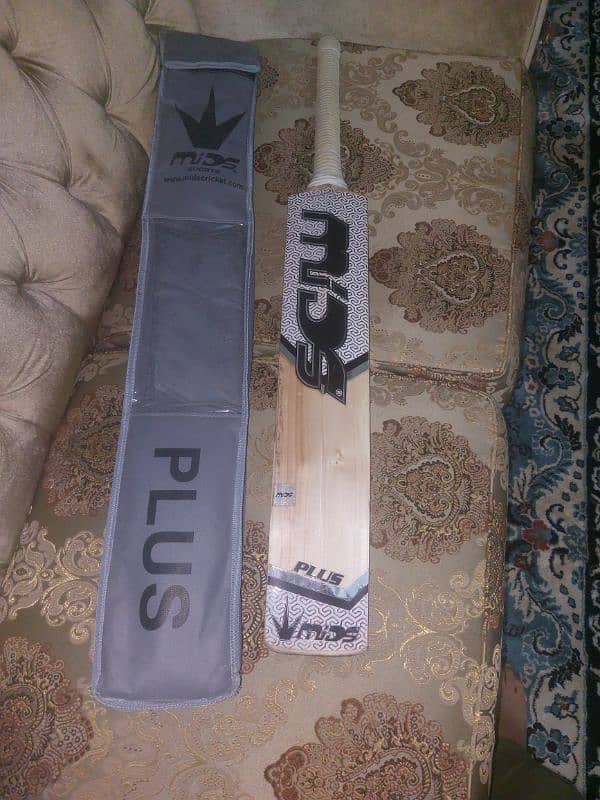 cricket bat 1