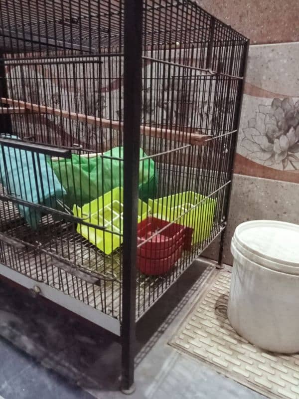 BIRDS CAGE FOR RAW PARROT 1