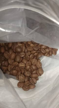 coffee beans 5000 per kg