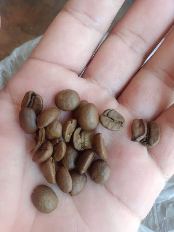 coffee beans 5000 per kg 1