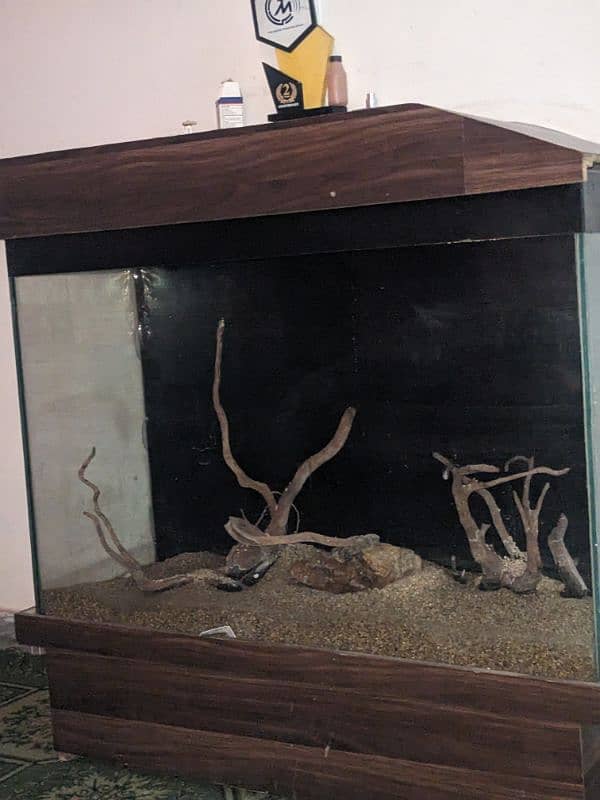 fish Aquarium 0