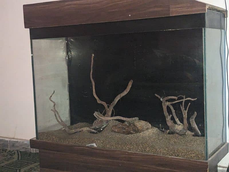 fish Aquarium 1