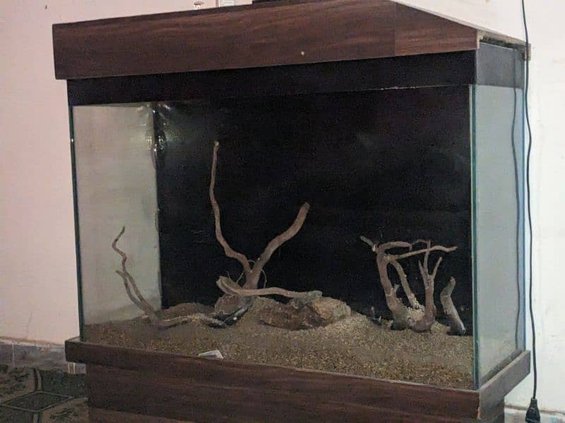 fish Aquarium 2