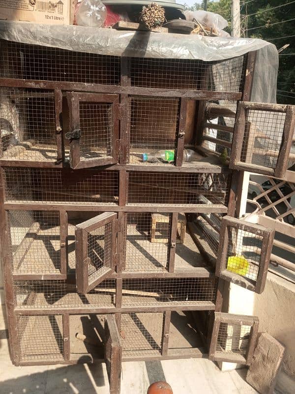 wooden cage 5 portions neat and clean 5