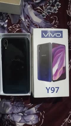 vivo