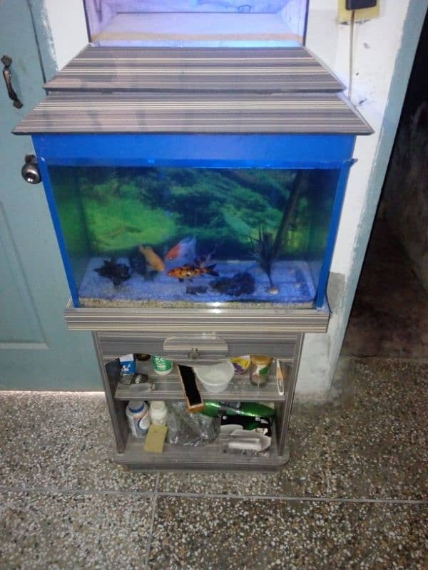 Aquarium setup for sale in Bahawalpur 0